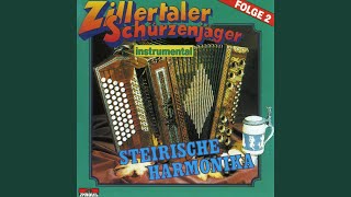 Vignette de la vidéo "Schürzenjäger - Hey-Mann Polka"