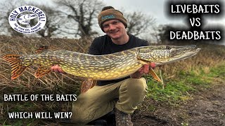 Livebaits vs Deadbaits - (Which Will Win?) || PIKE FISHING