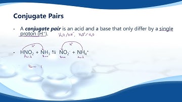 Proton Transfer Reactions