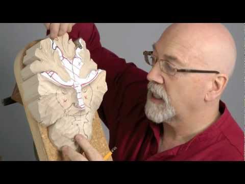 Carving a Traditional Green Man with Master Woodcarver, Chris Pye