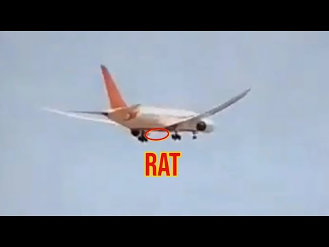 Rat On Air India Crash Explained!