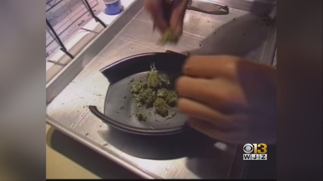 Maryland Medical Cannabis Grower Fined For Banned Pesticides