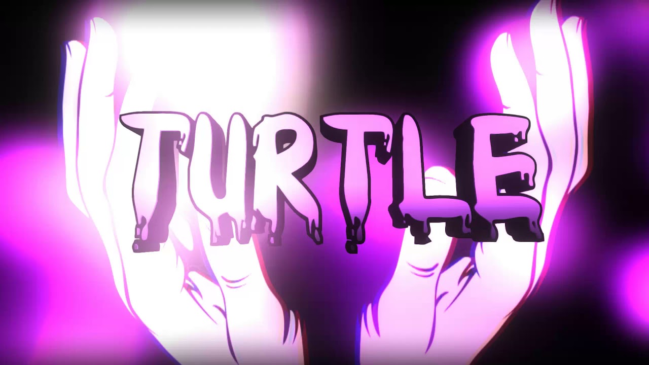 Introducing Turtleツ