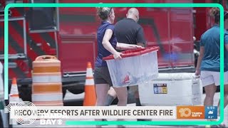 Recovery efforts continue after 'tragic' fire kills animals at Madeira Beach wildlife center