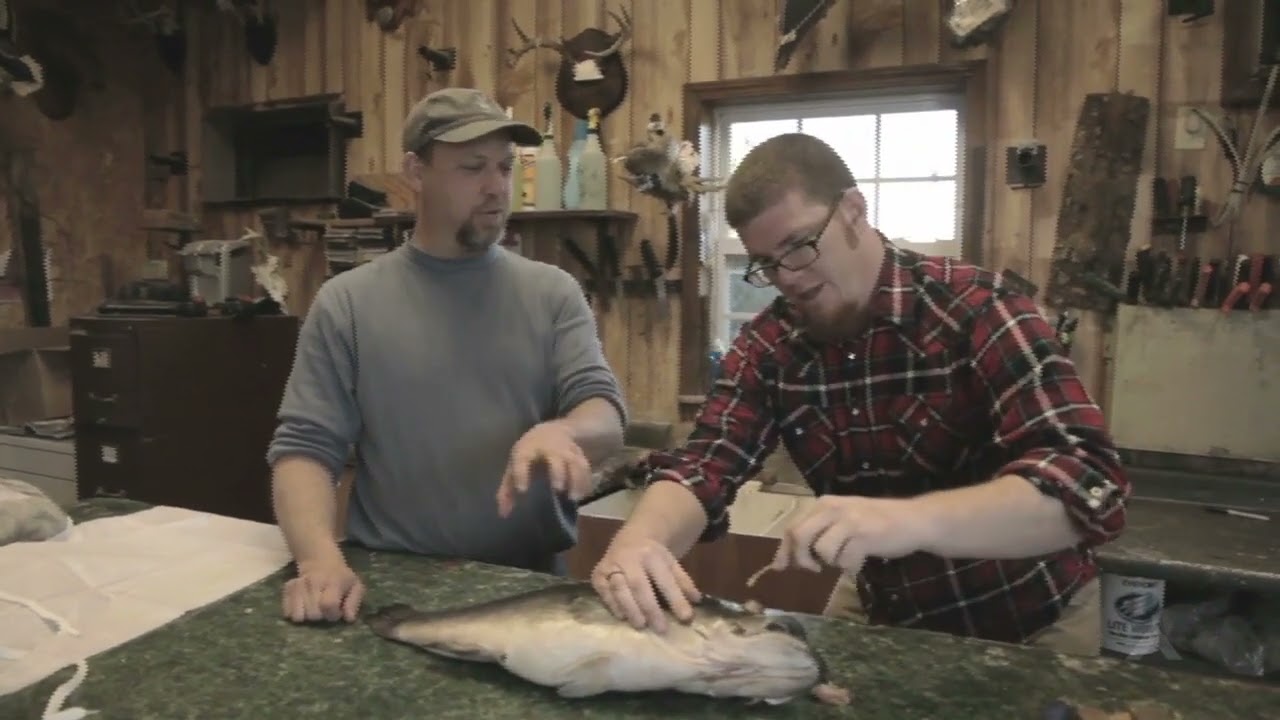 Dirty Jobs Episode 4   Taxidermy