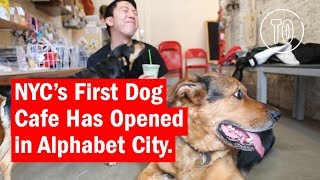 NYC's First Dog Cafe has Opened in Alphabet City