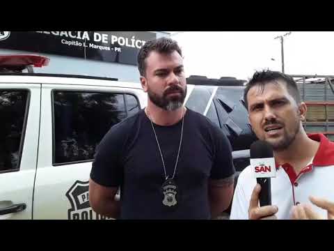 Polícia Civil de Capitão recuperou 21 cabeças de gado furtados de propriedade em Santa Lùcia