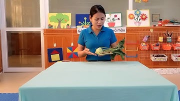 NBTN: củ su hào -củ cà rốt.Gv:quách thị tuyến (27/4)