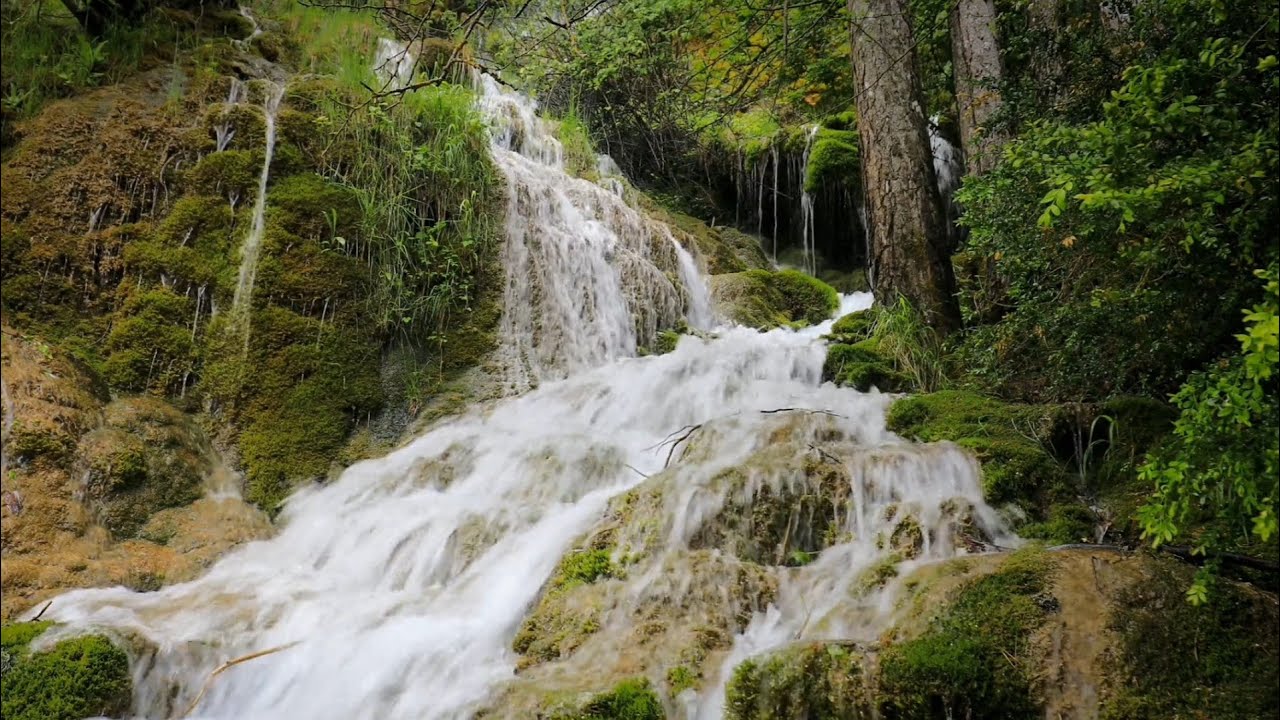 Peaceful Water Ambience, Piano & String Harmony  Calm Meditation Music