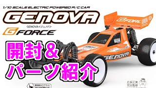 1/10 電動2WDバギー【G-FORCE＜ジーフォース＞ GENOVA〔ジェノバ