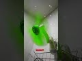 Green Fans 5 Propeller Fanvideo Kipasangin Fans Toys 