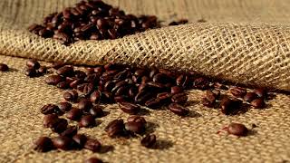 Spanish Peaks Coffee – Wholesale Distribution for Coffee Shops. At