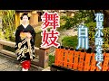 京都の舞妓真矢さんが往く祇園花見小路_白川の道 maiko&gion