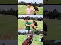 2025,蒼鷹、哈里斯鷹一路走來的成長紀錄 🦅