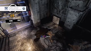 Batman Arkham Asylum - Freeflow Perfection Trophy (Achievement)