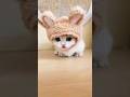 #satatus #shortsviral #cats #shots #comedy