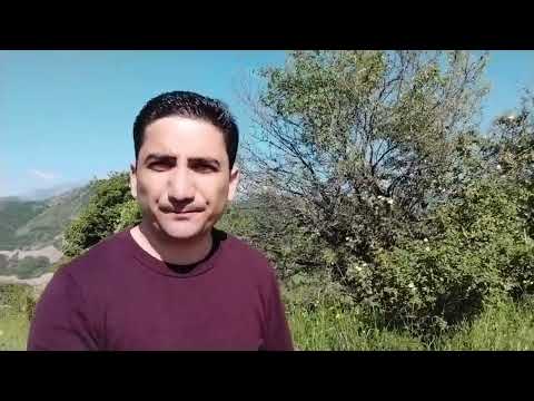 Դավաճանի գերեզմանը․ Նաիրի Հոխիկյան