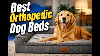 Best Orthopedic Dog Beds for Senior Paws Best Orthopedic Dog Beds for Senior Paws