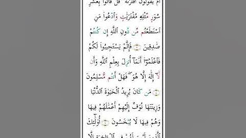 سورة هود الربع الثانى