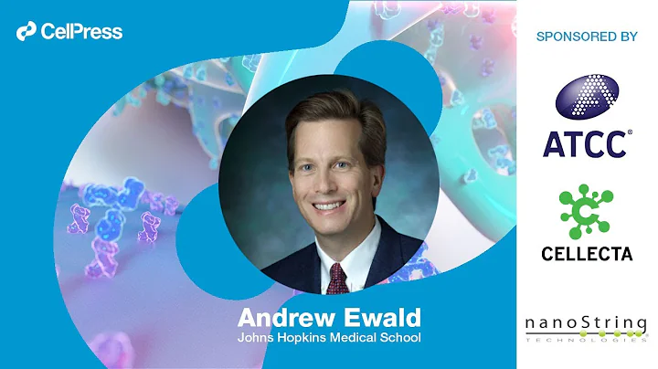 Andrew Ewald answers:  How can we harness the tumo...