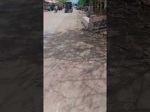 #viralvideo