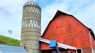 Opening Up a Silo On a Small Dairy Farm!