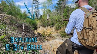 Exploring a New Creek for Abandoned River Treasures! #florida #history #vlog #discovery #relics
