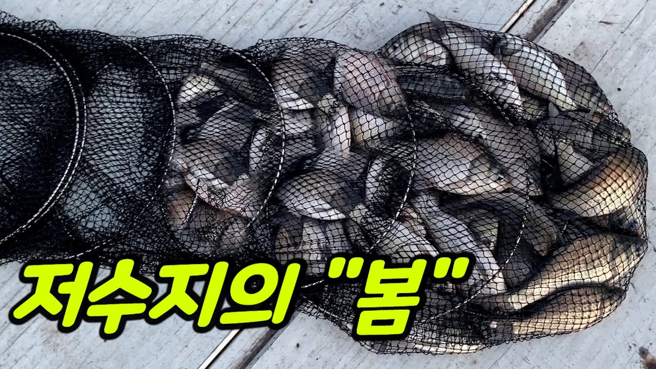 Spring has come???! What a big one!