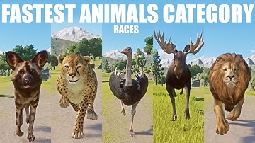 Fastest Animals Category Speed Races in Planet Zoo included Dog, Cheetah, Ostrich, Moose and Lion