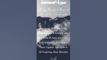 سورة الممتحنة من الأية 7 الى 7