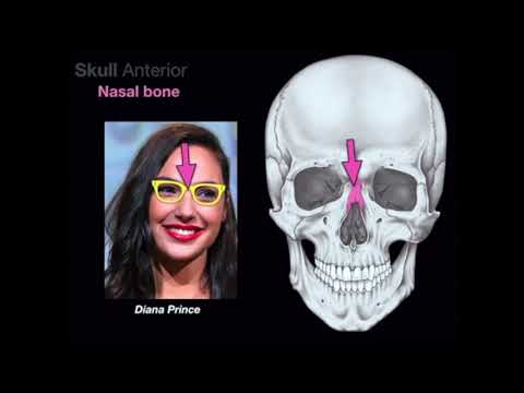 Video: Cos'è il forame zigomaticotemporale?