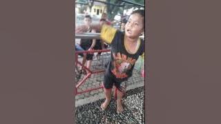 Viral  anak kecil misuh