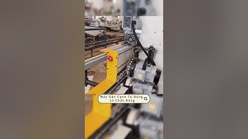 Máy dán cạnh tự động 10 chức năng  #daiphucvinh #cnc #maychebiengo #maydancanh