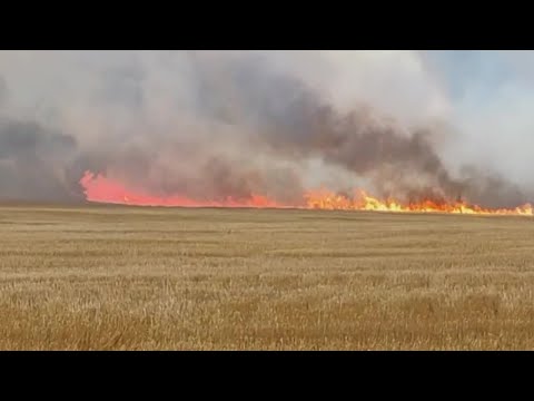 Varina residents ‘overwhelmed’ after brush fire: 'You’re at the mercy of the element'