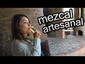 La CAVERNA Rustica del MEZCAL Artesanal - ALMA Coronel