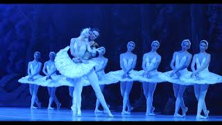 Swan Lake I Tour in The Netherlands 2024 I Teaser