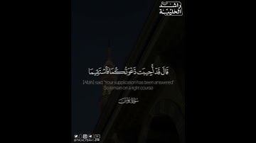 ﴿قال قد أجيبت دعوتكما فاستقيما ولا تتبعان سبيل الذين لا يعلمون﴾ | القارئ: راشد الحليبة