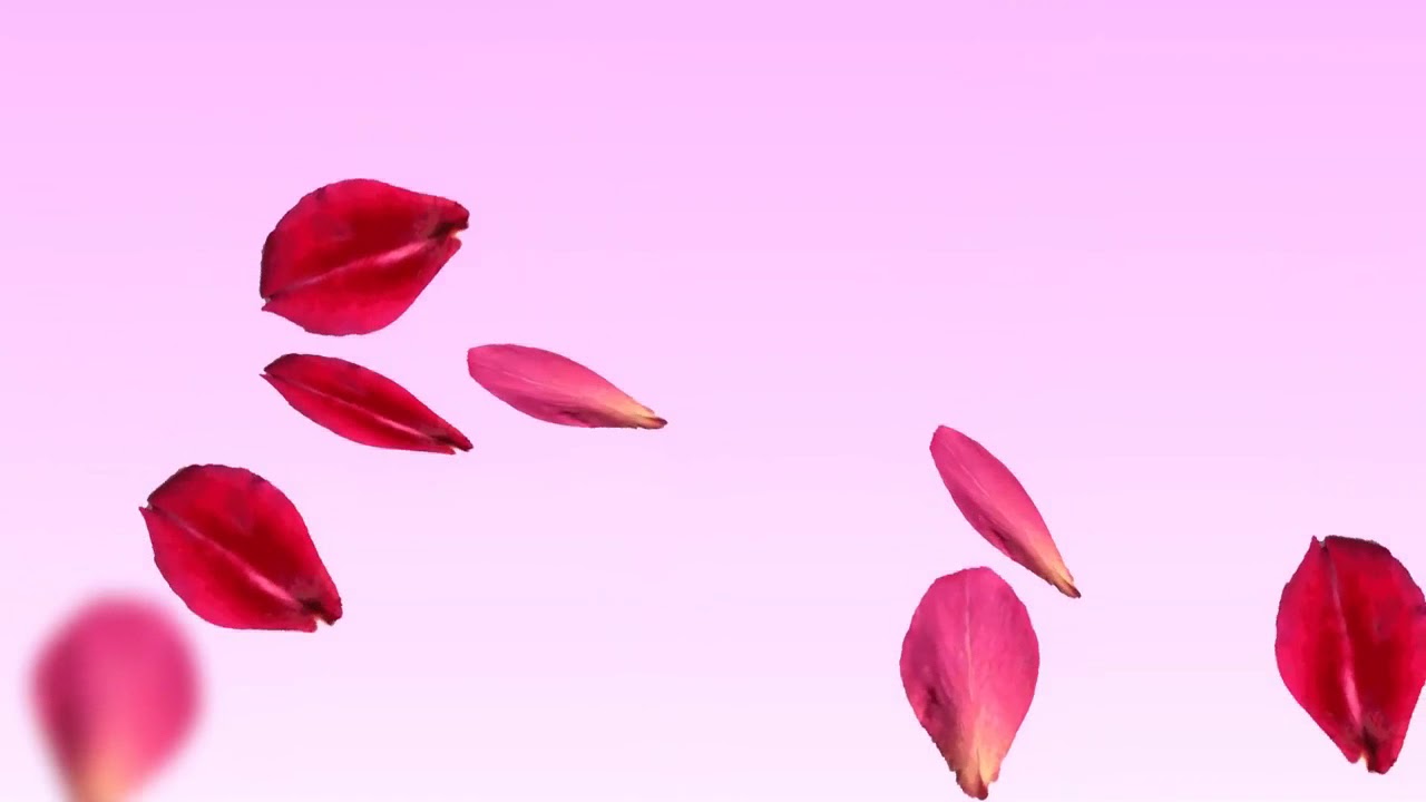 Die Ehe - Liebe und Barmherzigkeit || goldene Worte