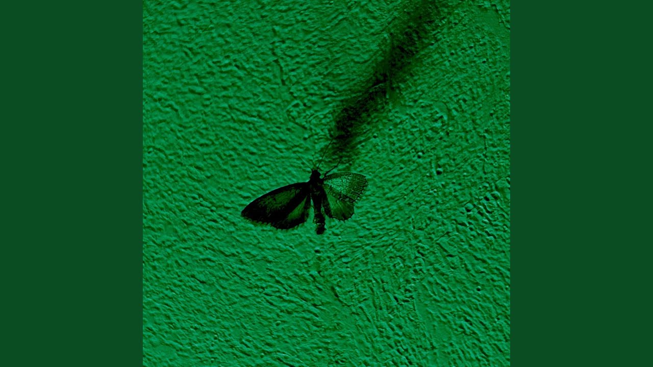 Guarda loverboy su YouTube Guarda loverboy su YouTube