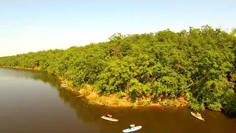Floating Lotus   Raw Video Clips