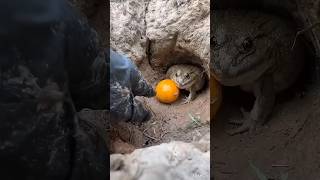 So Funny video amazing short🤣😝😱🥰#shorts #viral #funny