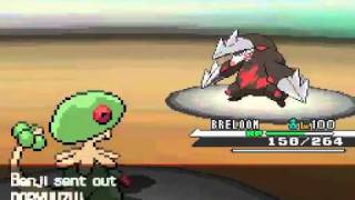 Pokemon White Wifi-Battle