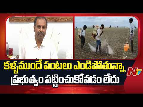 రైతులను ప్రభుత్వం పట్టించుకోవడం లేదు- YCP Ex MLA Srikanth Reddy | NTV Telugu - NTVTELUGU
