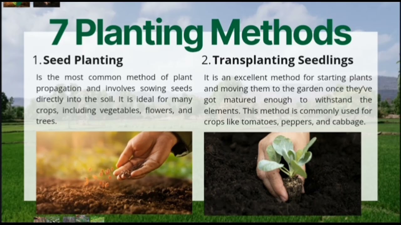 Agriculture: Crop Production| By Pateres, Jhea Mae B. BEED3 #ForEducationalPurposesOnly