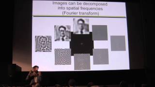 FMRI: Neo-Phrenology or “Window into the Movies in Our Mind”?