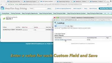 BoonPlus: Enable Quotes to sync custom line item fields