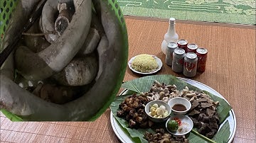 Lợn rừng cắp nách đủ món