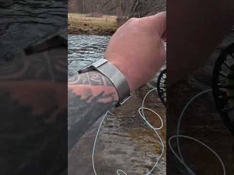 Юу юу гээд байлаа 😂😂😂 #загасчнызамнал #buuz #fishing #travelvlog #camping #angler