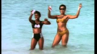 Zingo -- Jamaica