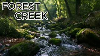 Relaxing Forest Creek ASMR 💧 Water Sounds, Birds & Gentle Wind